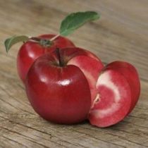 Яблоко-помидор Redlove